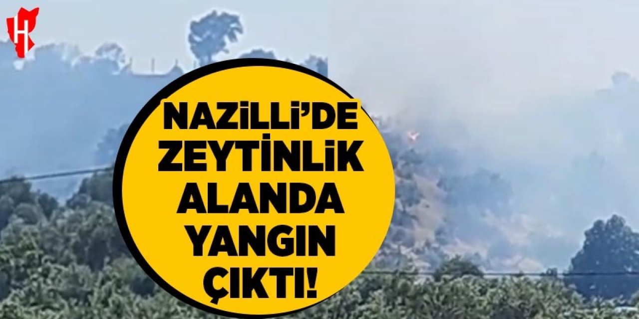 Nazilli'de zeytinlik alanda yangın çıktı