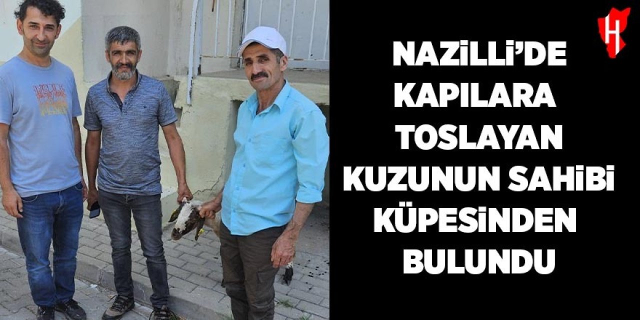 Nazilli'de kapılara toslayan kuzunun sahibi küpesinden bulundu
