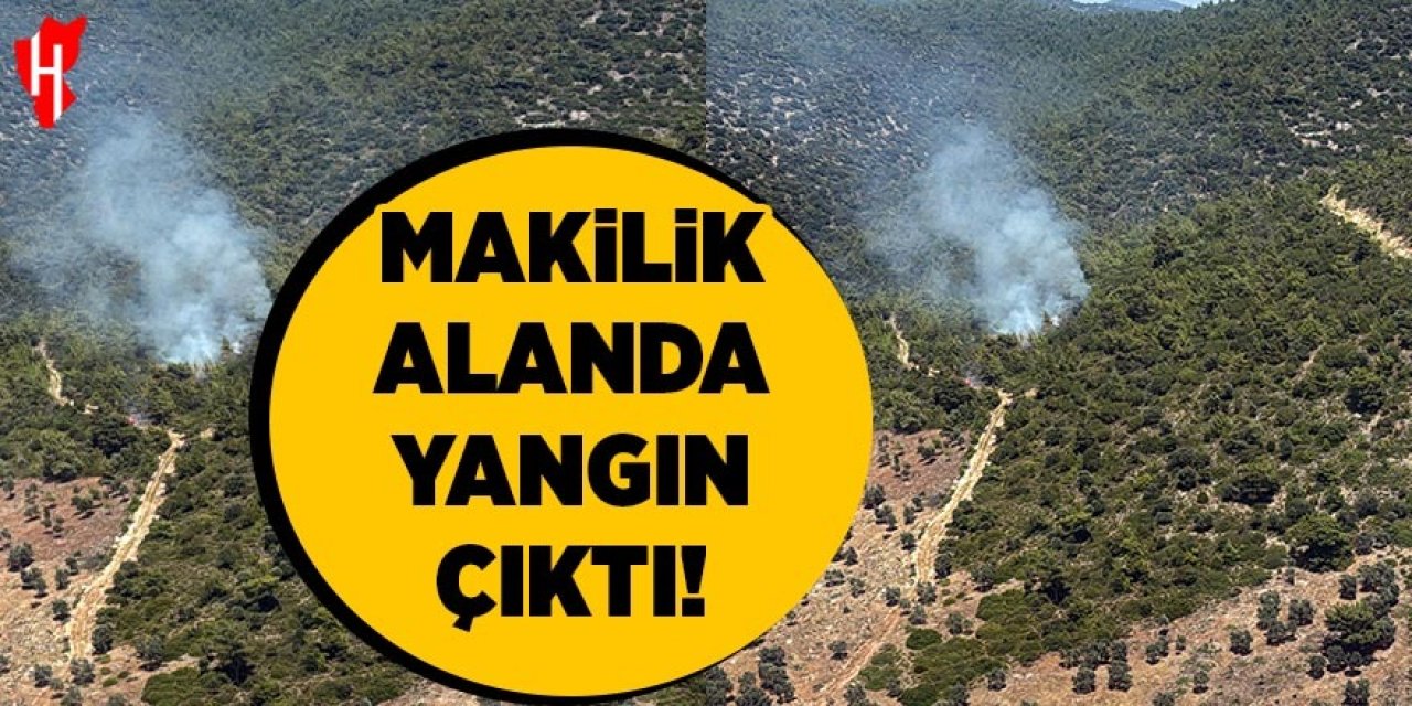 Makilik alanda yangın çıktı