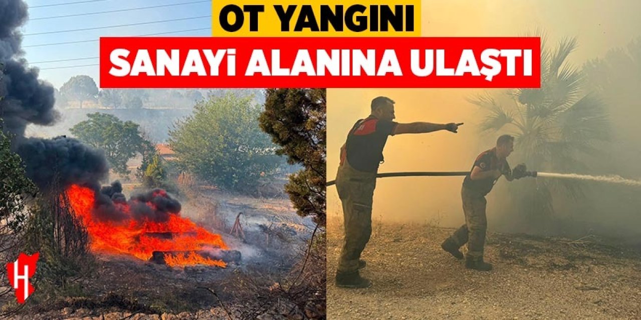 Ot yangını sanayi alanına ulaştı