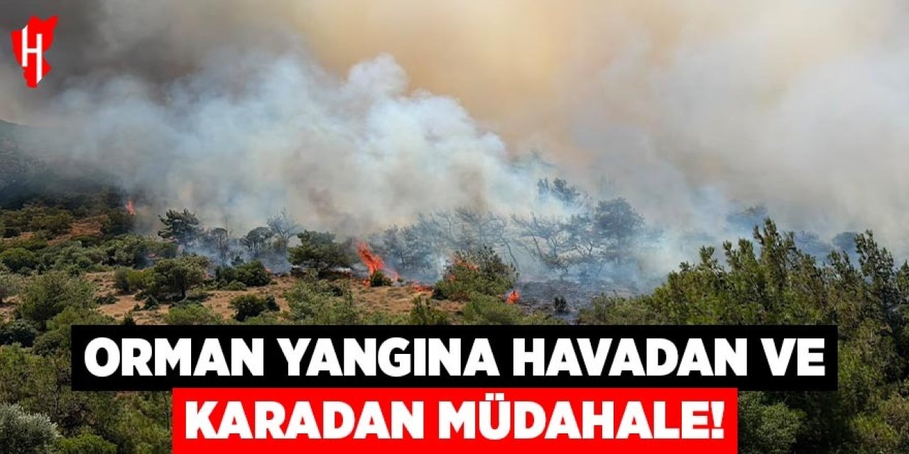 Orman yangınına 7 uçakla müdahale sürüyor