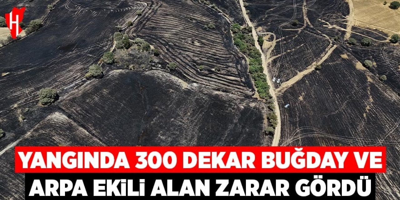 Yangında 300 dekar ekili alan zarar gördü