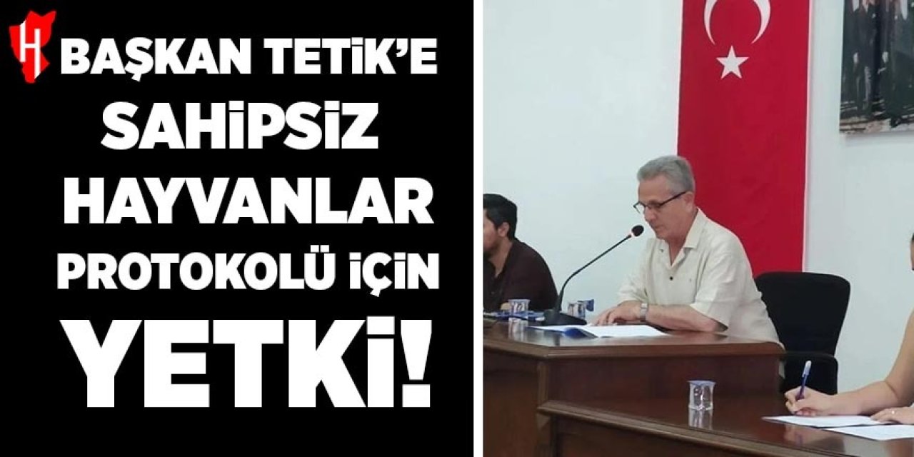 Başkan Tetik'e sahipsiz hayvanlar protokolü için yetki