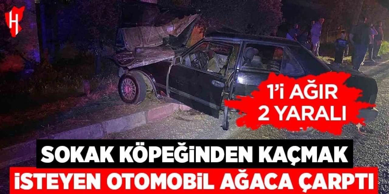 Sokak köpeğinden kaçmak isteyen otomobil ağaca çarptı: 1’i ağır 2 yaralı