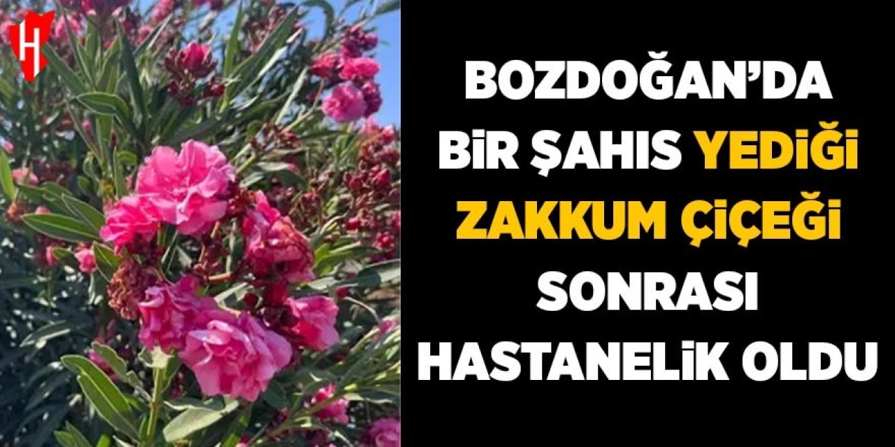 Bozdoğan'da bir kişi yediği zakkum çiçeği sonrası hastaneye kaldırıldı