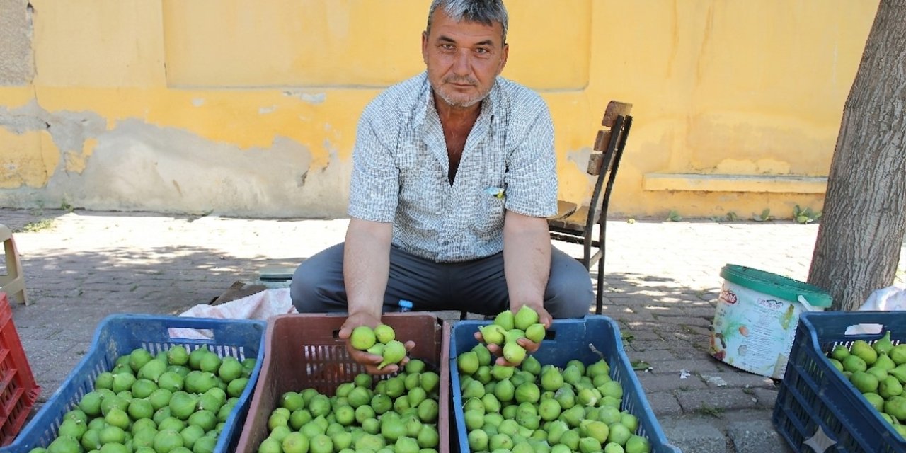 Aydın'da "Çalışmazsam ölürüm" diyerek gençlerin kolay para hevesini eleştirdi