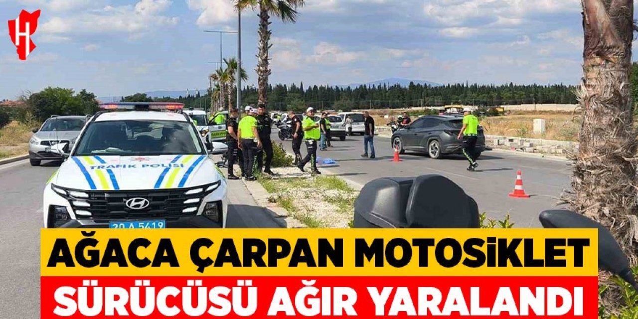 Ağaca çarpan motosikletin sürücüsü ağır yaralandı