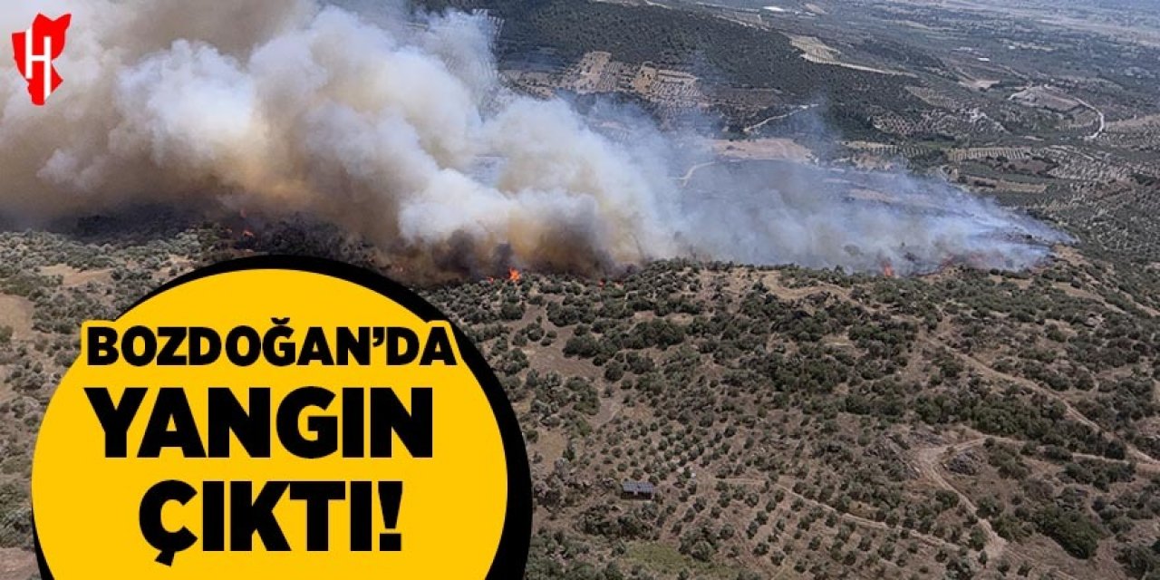 Bozdoğan'da yangın çıktı!