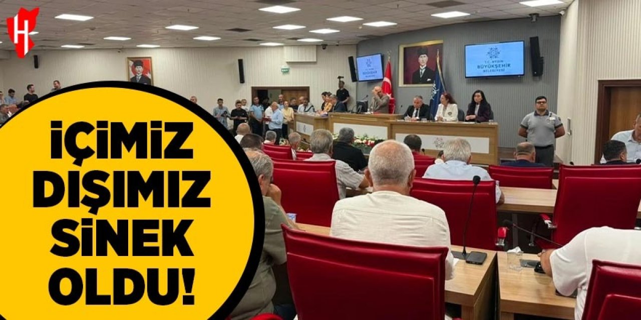 Büyükşehir Meclisi'nde sinek tartışması!
