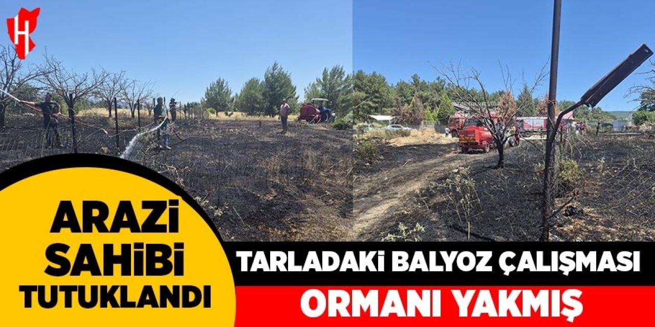 Tarladaki balyoz çalışması ormanı yakmış: Arazi sahibi tutuklandı