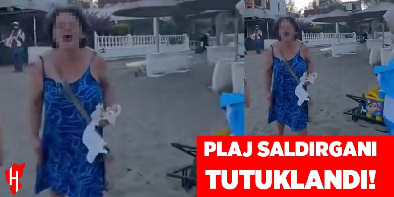 Plaj saldırganı tutuklandı
