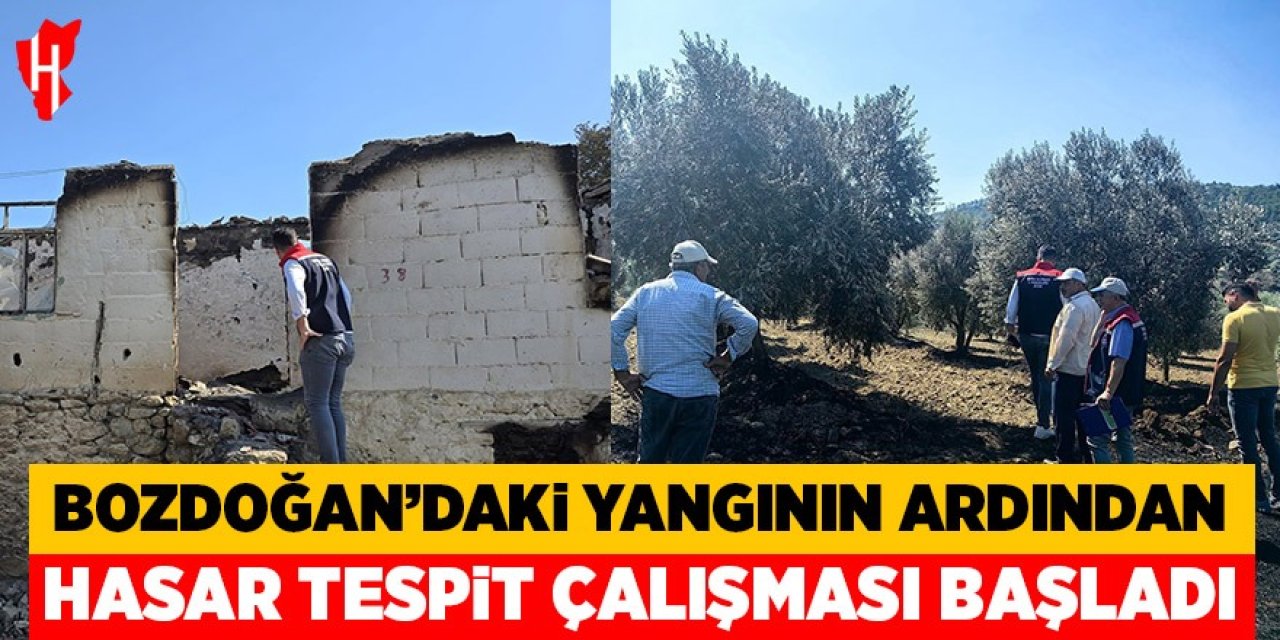 Bozdoğan'daki yangının ardından hasar tespit çalışmaları başladı