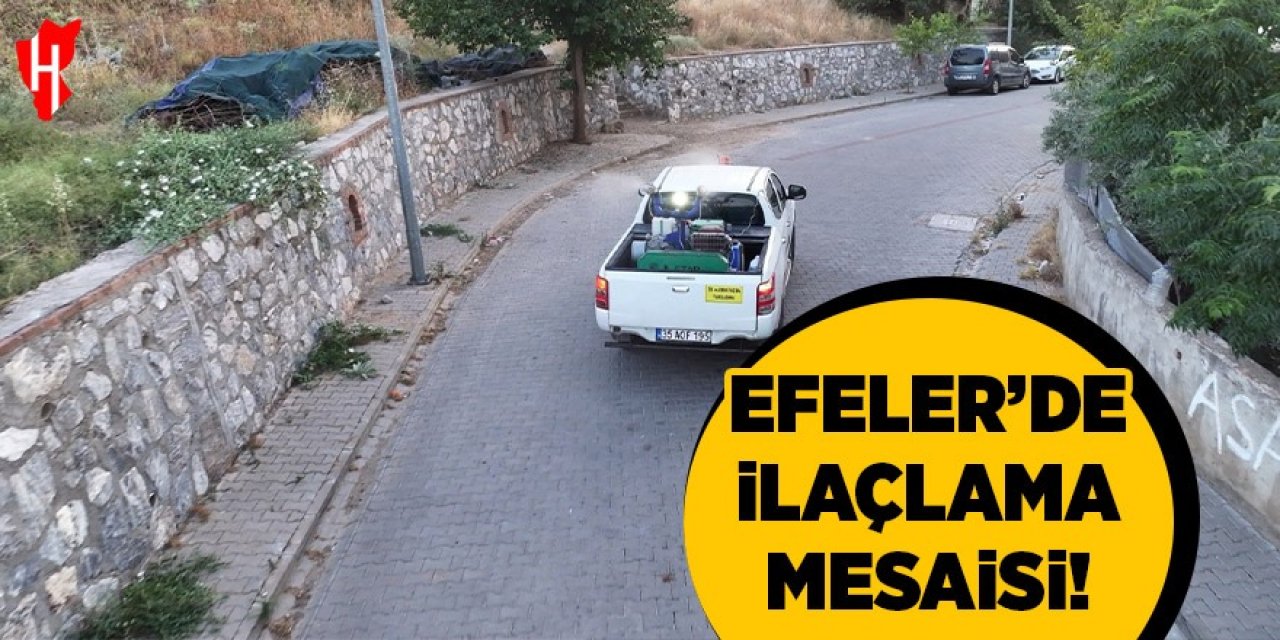 Efeler'de ilaçlama mesaisi hız kesmiyor