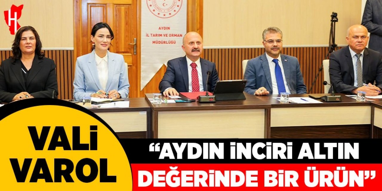 Vali Varol: "Aydın inciri altın değerinde bir ürün"