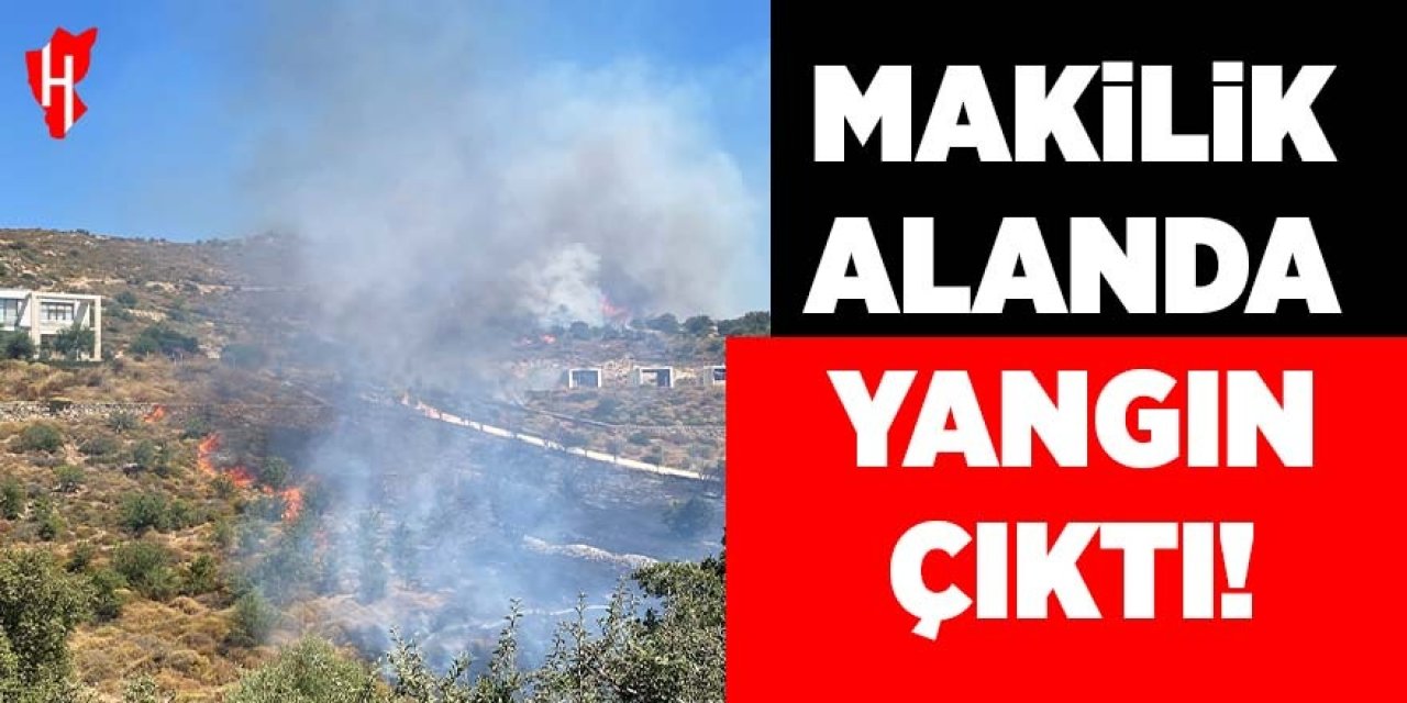 Makilik alanda yangın çıktı