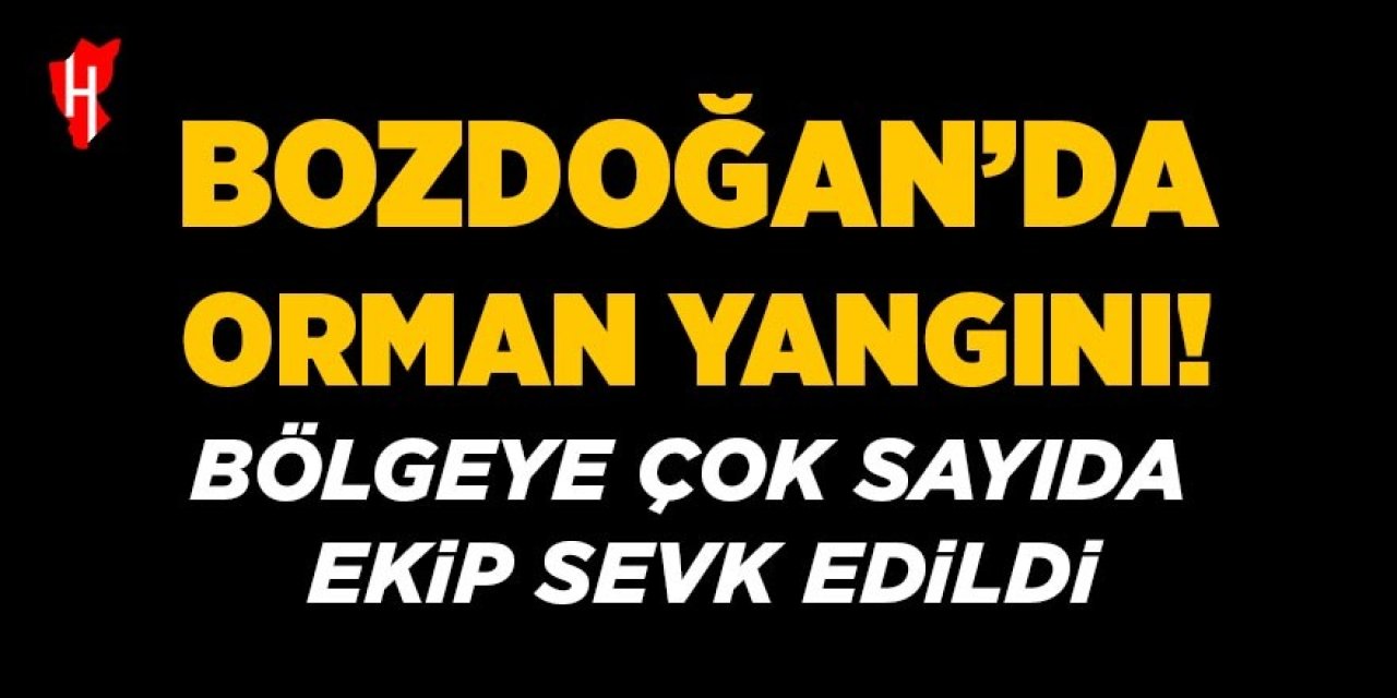 Bozdoğan'da orman yangını