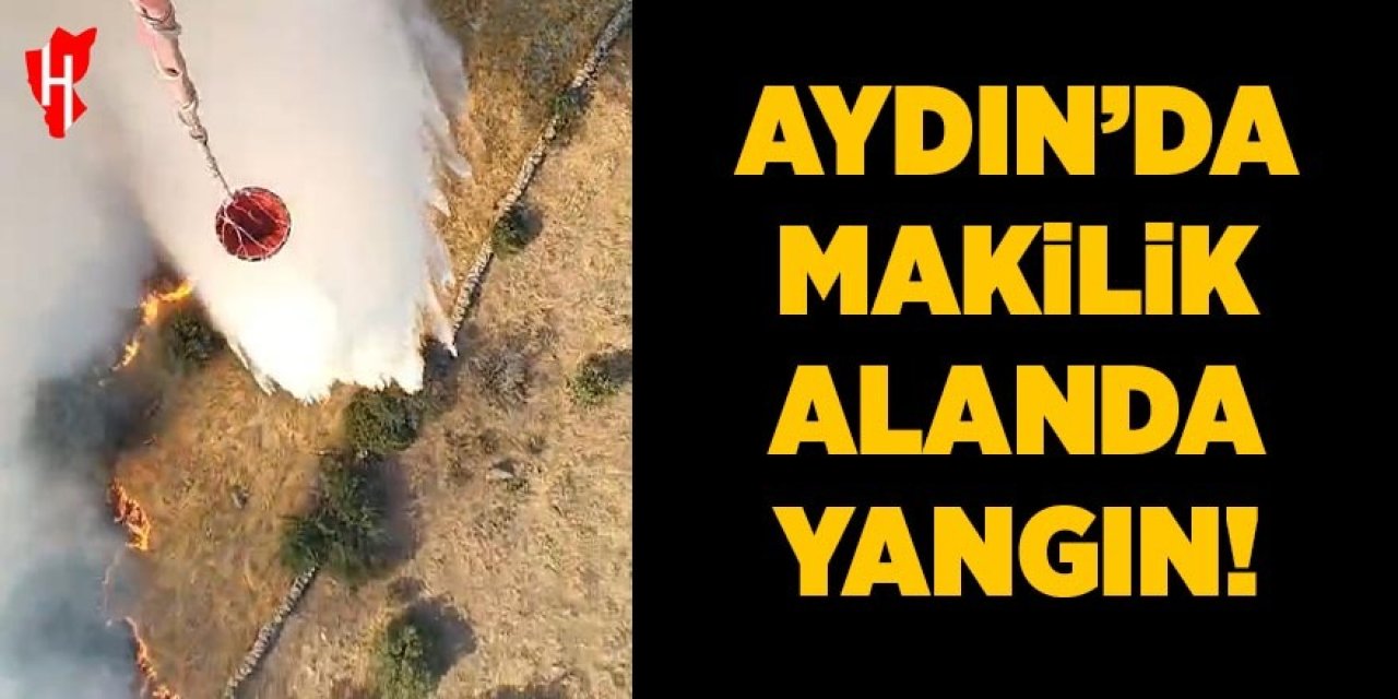 Aydın'da makilik alanda yangın