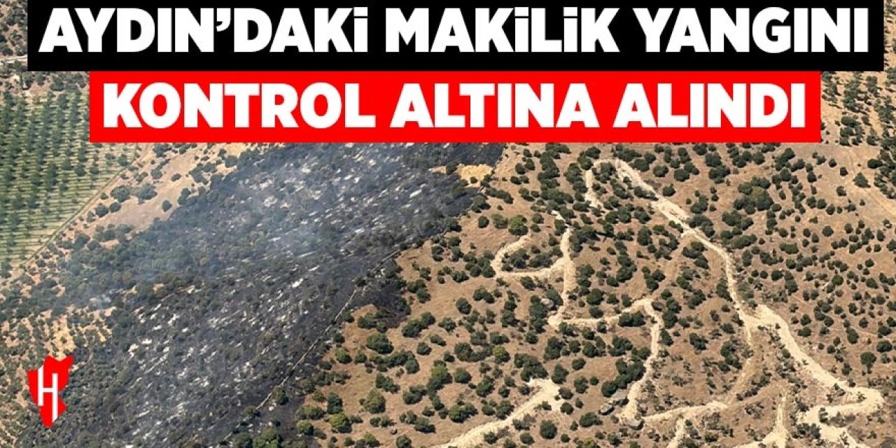Aydın'daki makilik yangını kontrol altına alındı