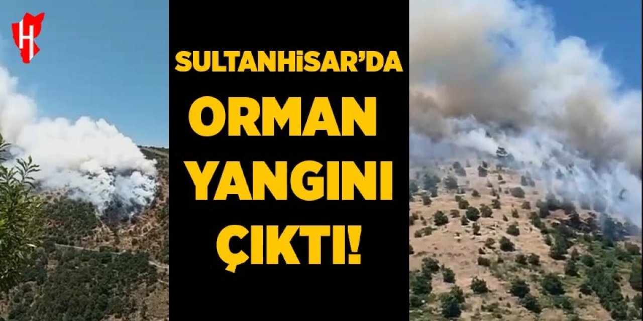Sultanhisar'da orman yangını çıktı