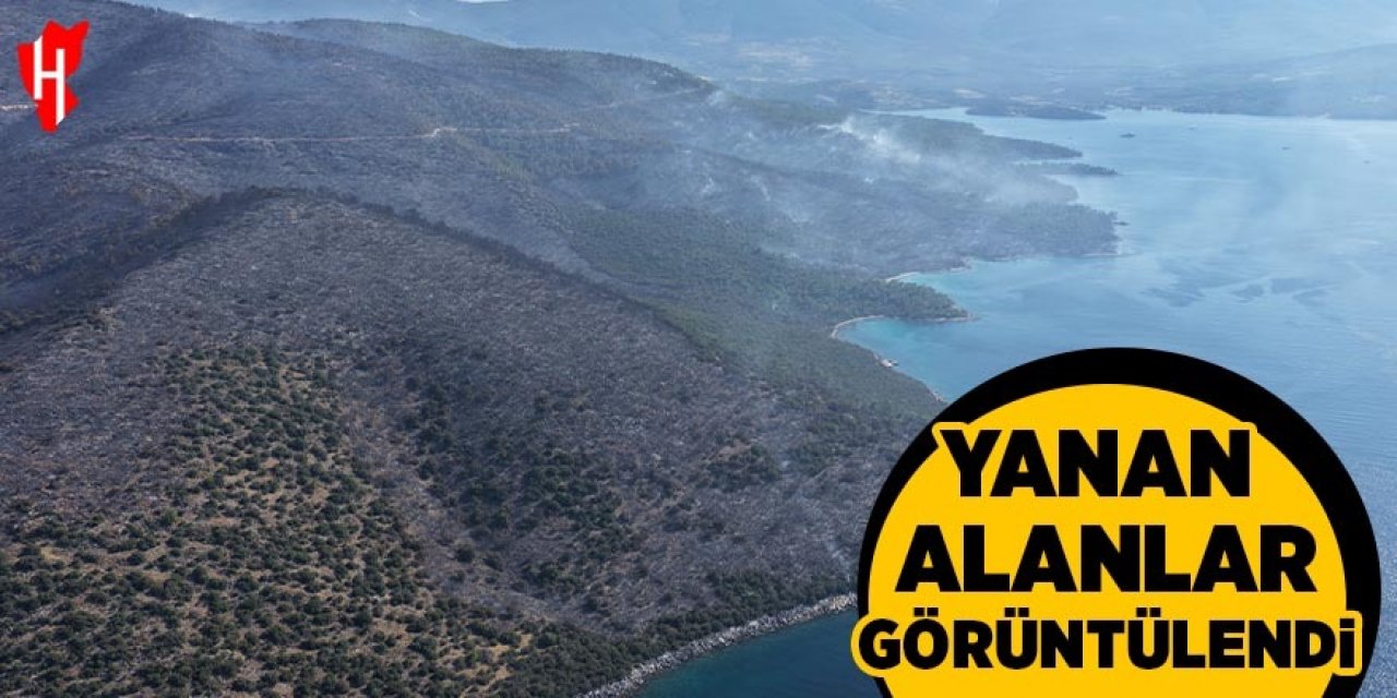 Yanan alanlar görüntülendi