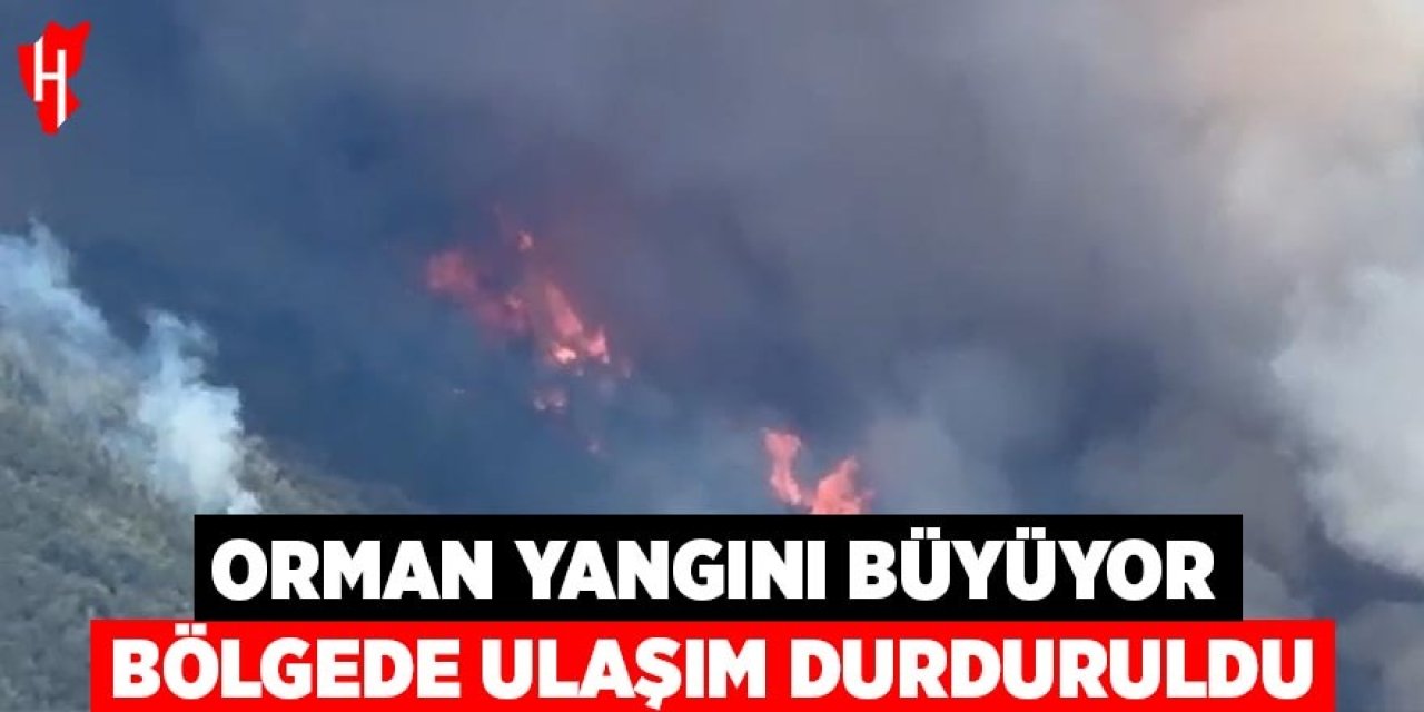Orman yangını büyüyor: Bölgede ulaşım durduruldu