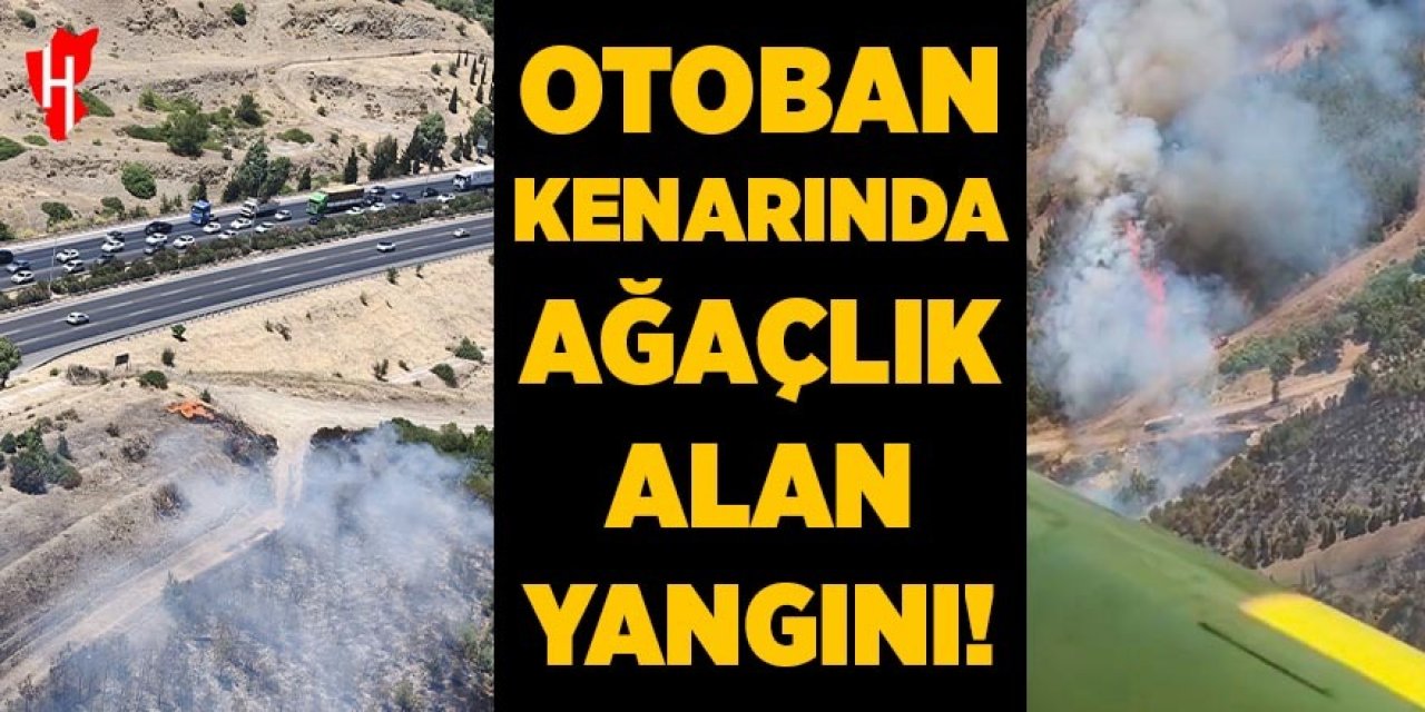 Otoban kenarında ağaçlık alan yangını