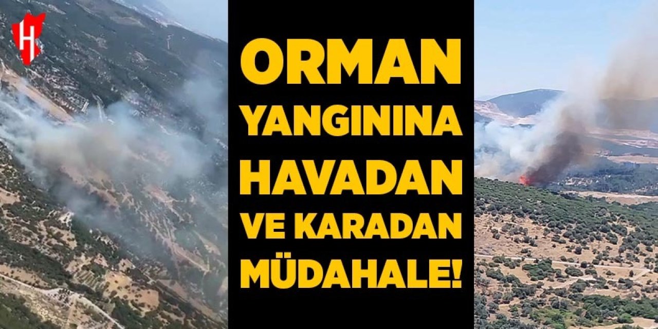 Orman yangınına havadan ve karadan müdahale