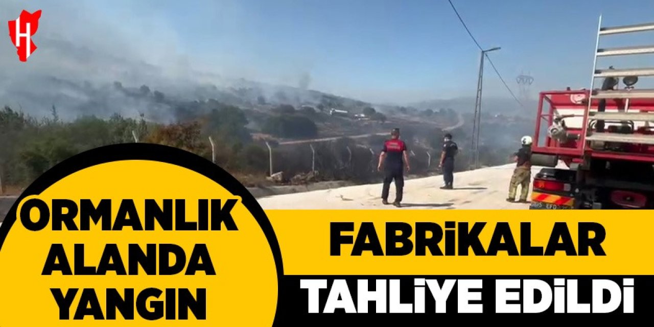 Ormanlık alanda yangın, fabrikalar tahliye edildi