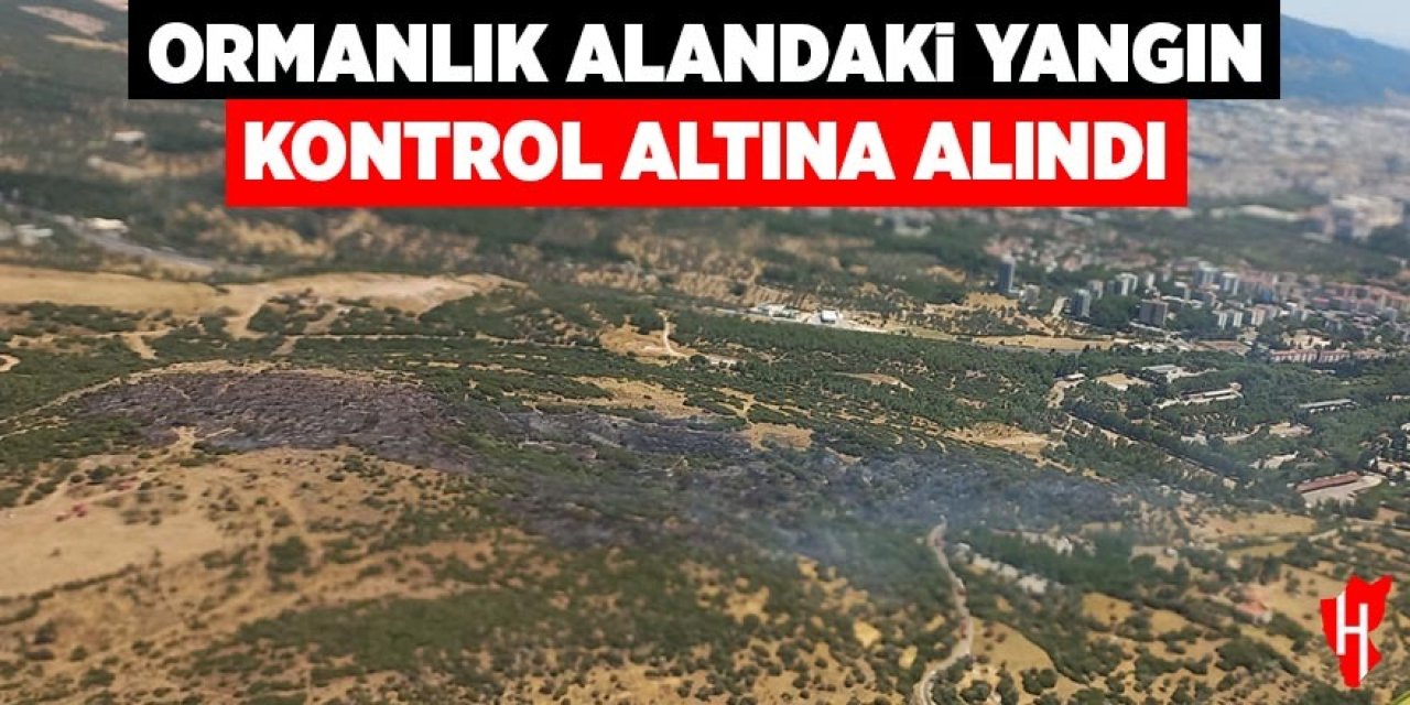 Ormanlık alandaki yangın kontrol altında