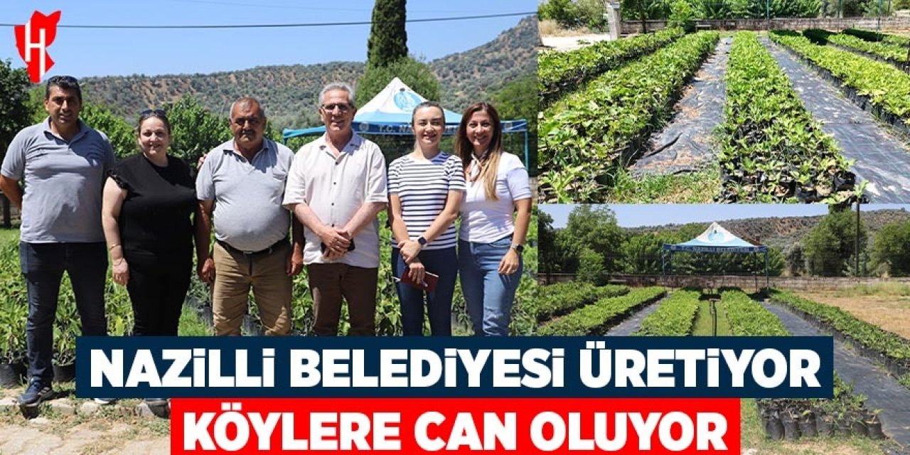 Nazilli Belediyesi üretiyor, köylere can oluyor