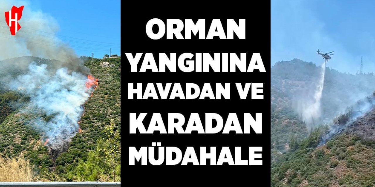 Orman yangınına havadan ve karadan müdahale