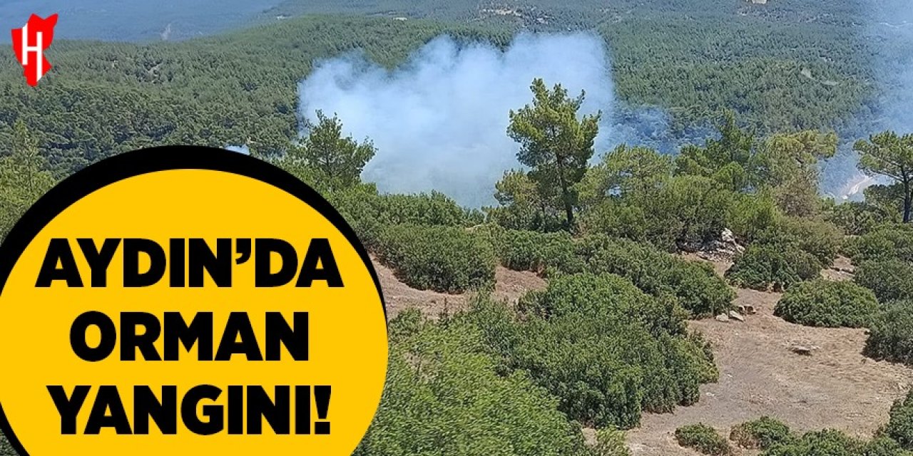 Aydın'da orman yangını