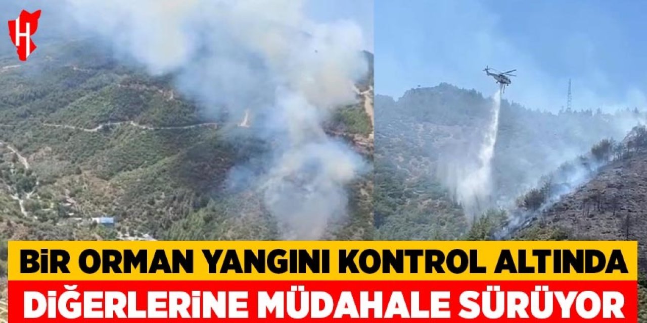 Bir orman yangını kontrol altında: Diğerlerine müdahale sürüyor