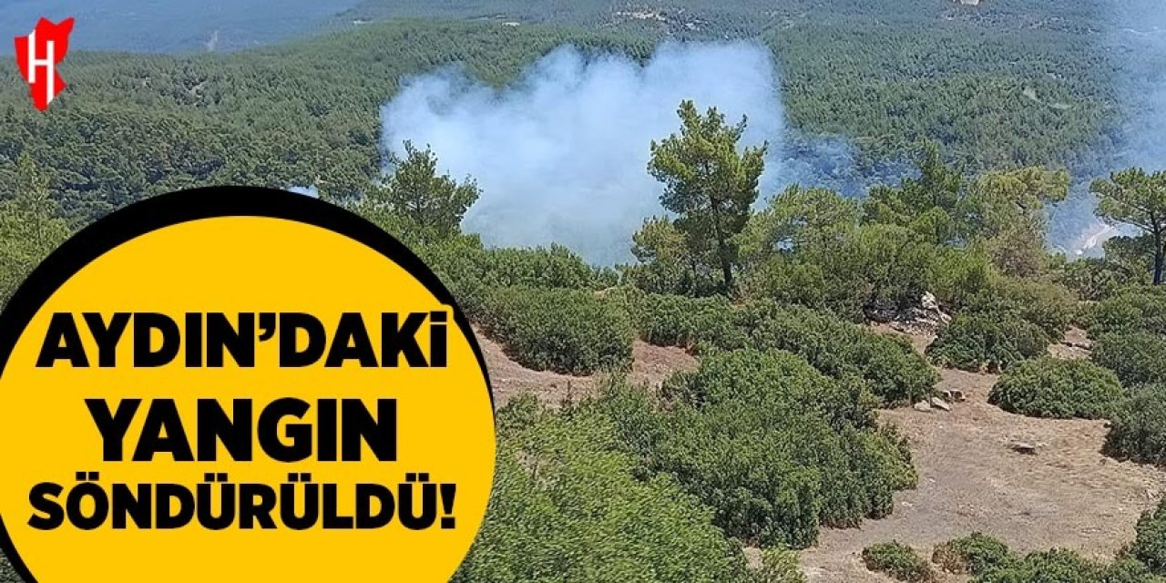 Aydın'daki yangın söndürüldü: Soğutma çalışmaları sürüyor
