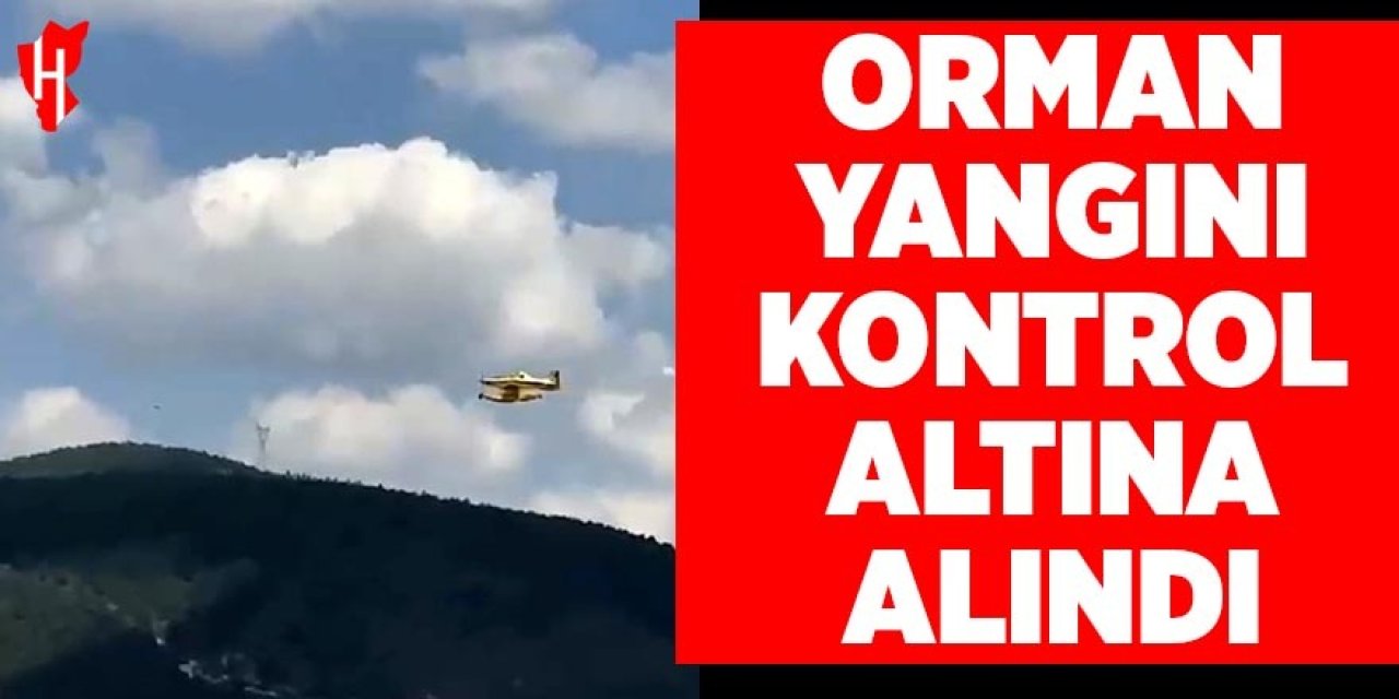 Orman yangını kontrol altına alındı