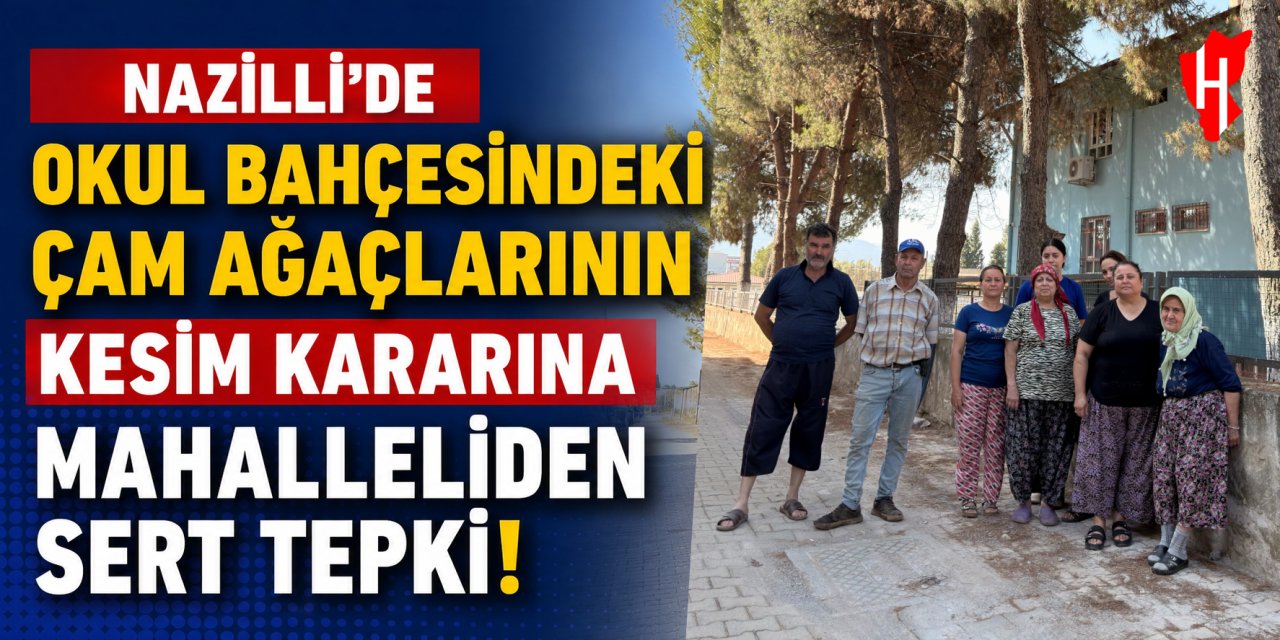 Nazilli’de okul bahçesindeki çam ağaçlarının kesim kararına mahalleliden tepki!