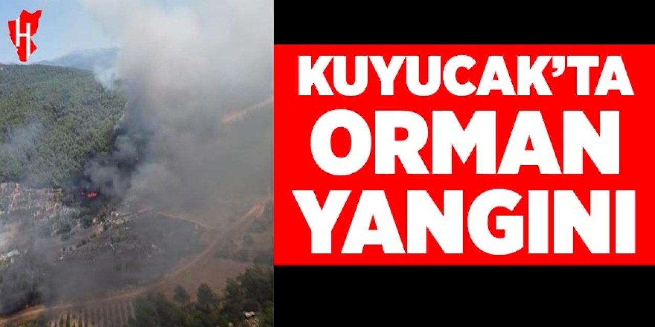 Kuyucak'ta orman yangını