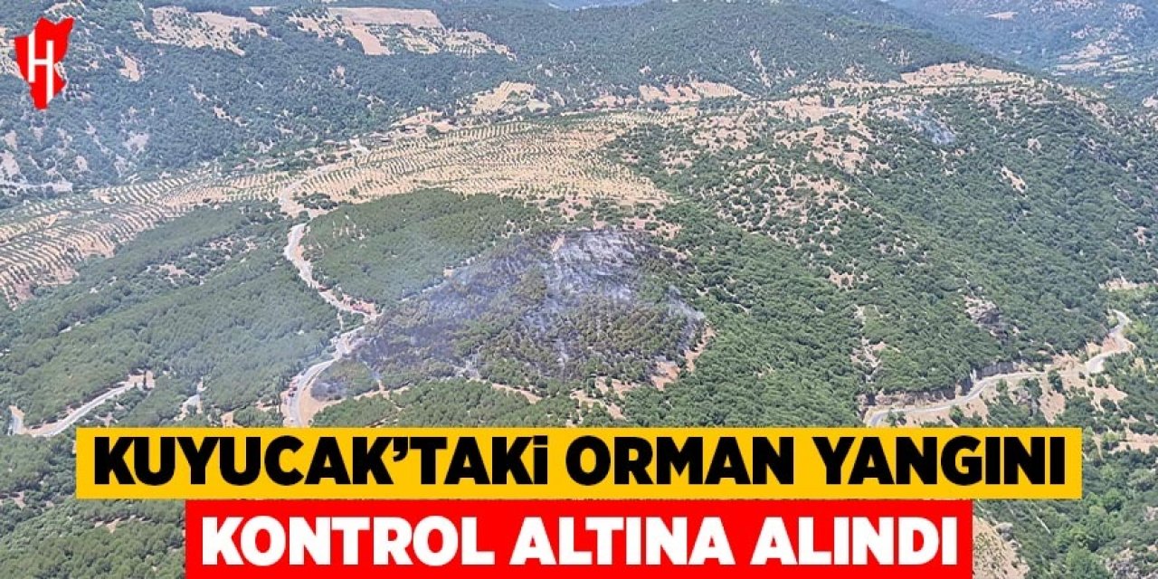 Kuyucak'taki orman yangını kontrol altına alındı