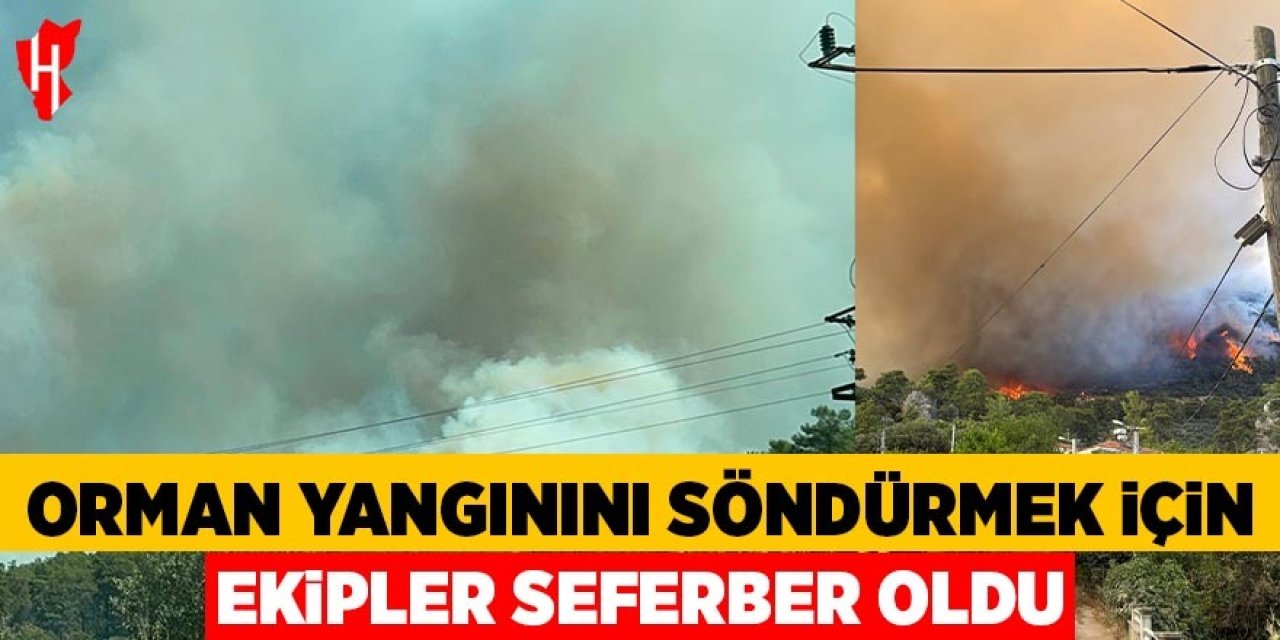 Orman yangınını söndürmek için ekipler seferber oldu