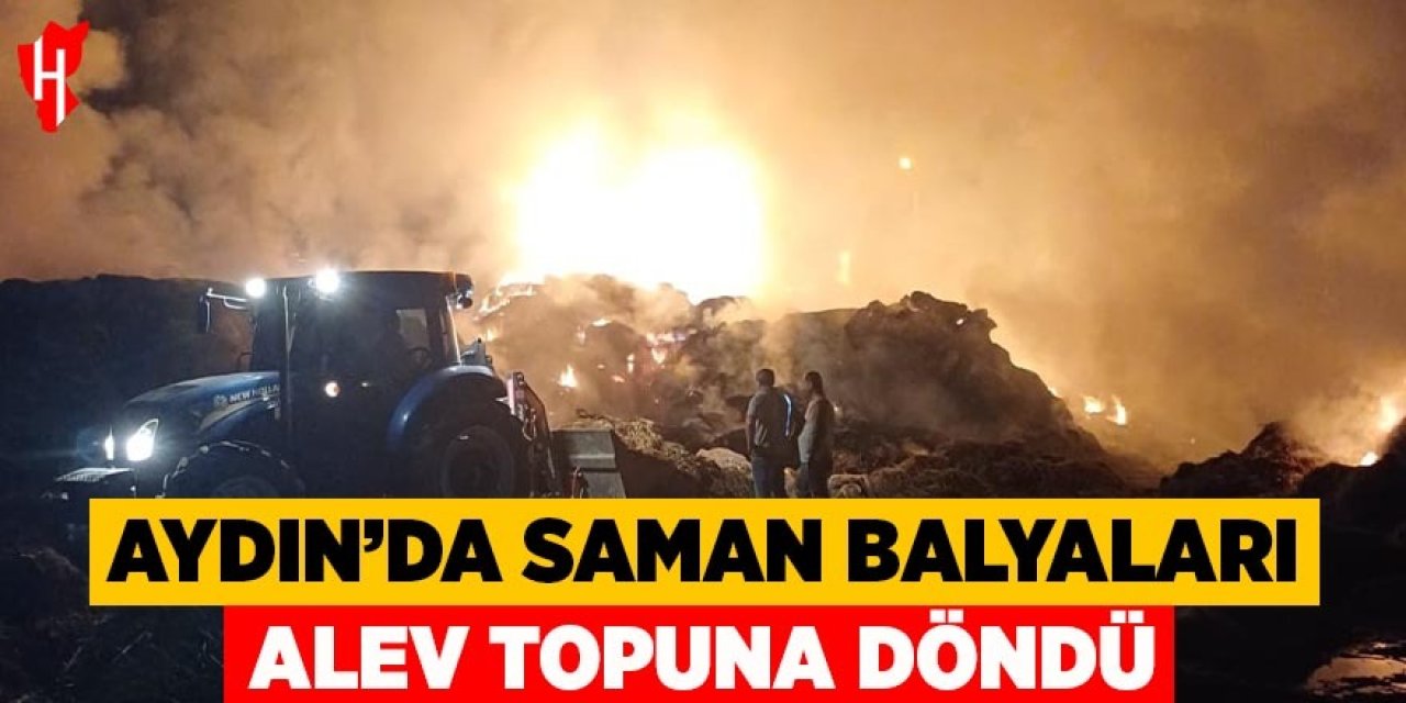 Aydın'da saman balyaları alev topuna döndü