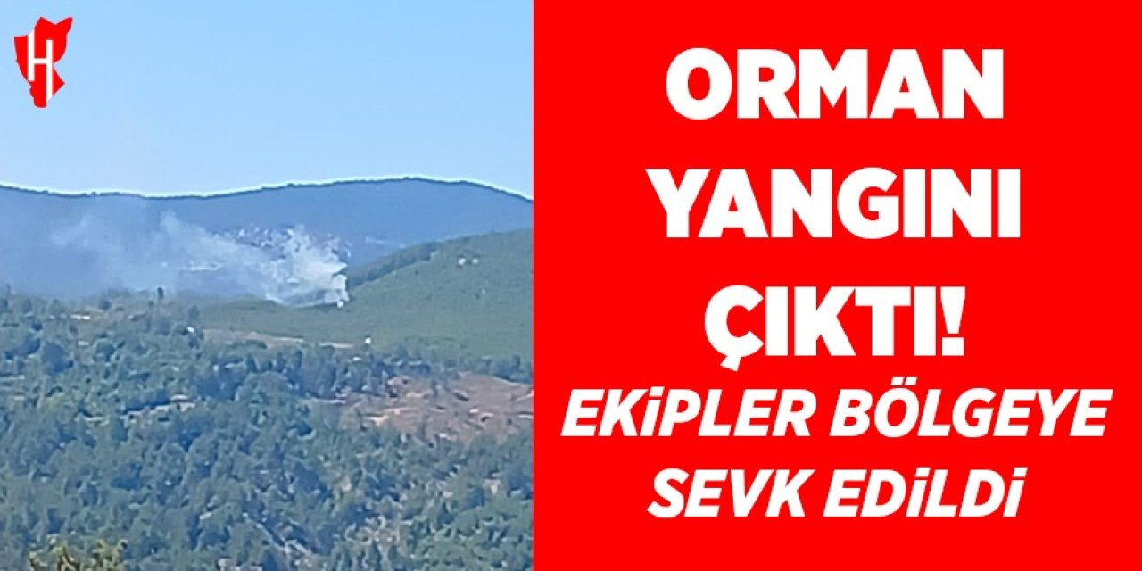 Orman yangını çıktı