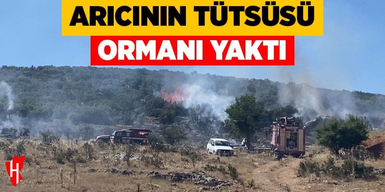 Arıcının tütsüsü ormanı yaktı
