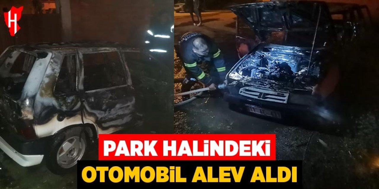 Park halindeki otomobil alevlere teslim oldu