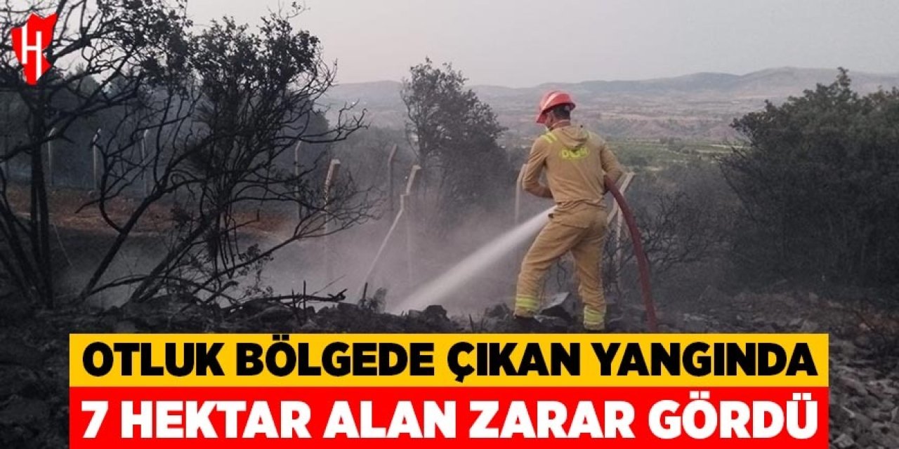 Otluk bölgede çıkan yangında 7 hektar alan zarar gördü