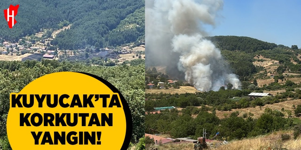 Kuyucak'ta korkutan yangın