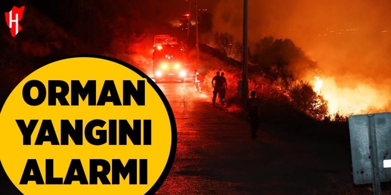 Orman yangını alarmı