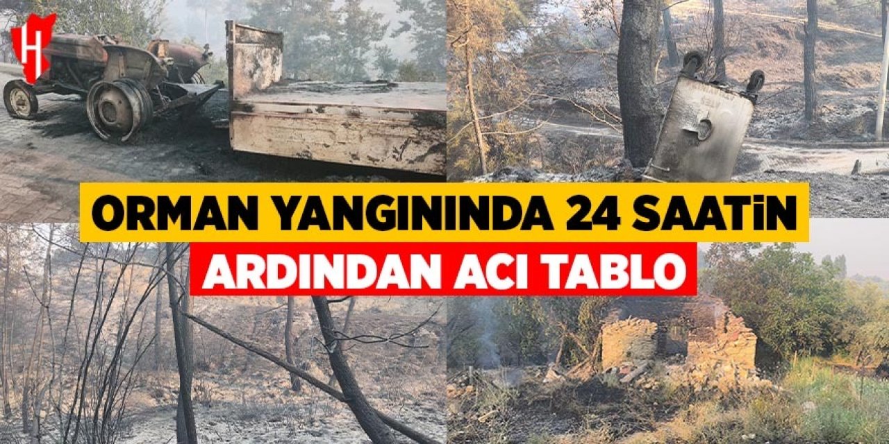 Orman yangınında 24 saatin ardından acı tablo