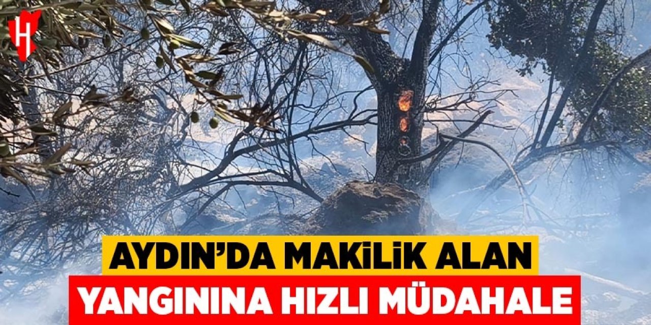 Aydın'da makilik alanda çıkan yangına hızlı müdahale