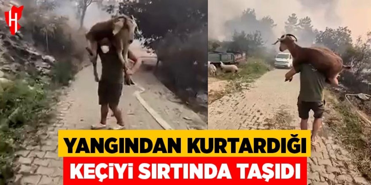 Yangından kurtardığı keçiyi sırtında taşıdı