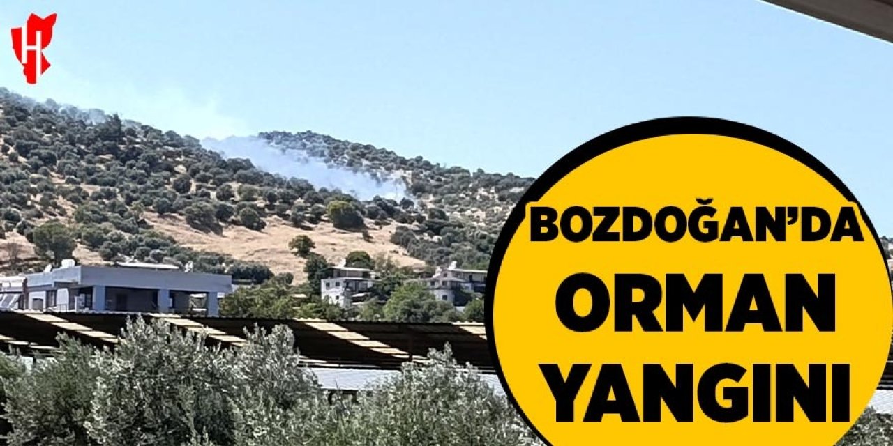 Bozdoğan'da zirai alan yangını